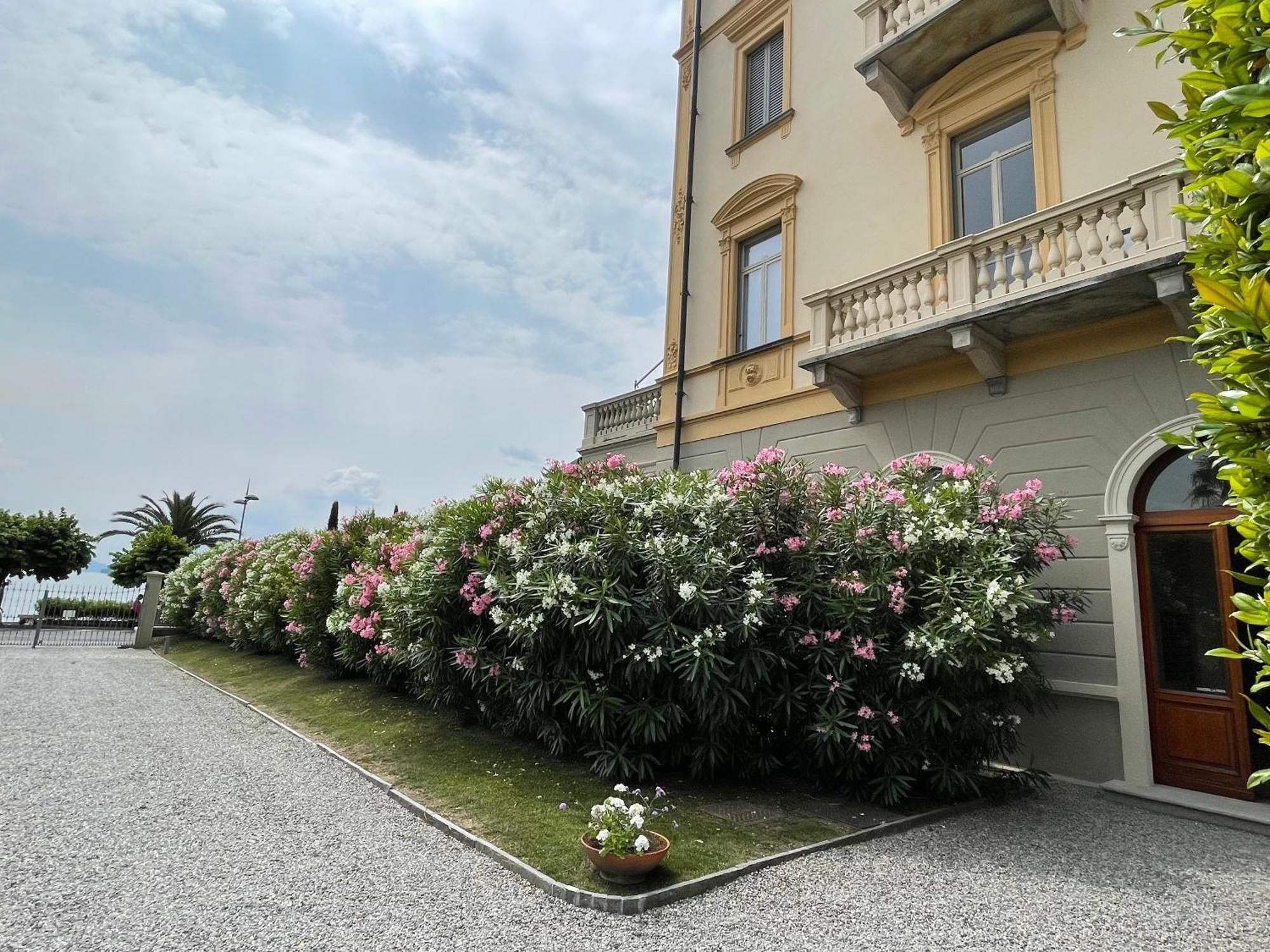 Residenza Victoria Apartment Menaggio Exterior foto
